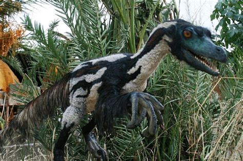 Weird But True Facts About Velociraptors