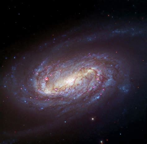 barred spiral galaxy ngc 2903 photograph by hubble legacy archive wiyn al kelly arne henden