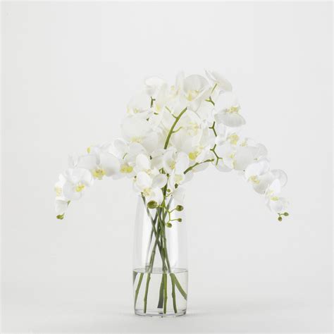 White Orchids In Glass Vase Osho Living