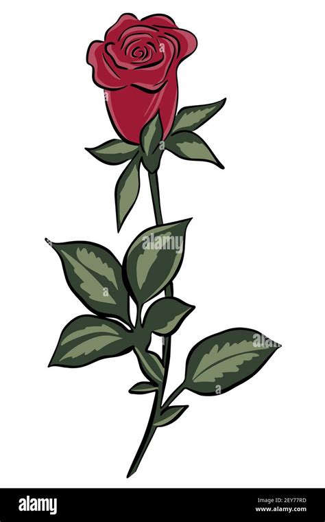 Red Rose With Stem Drawing