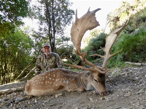 World Record Fallow Deer AyrtonOaklen