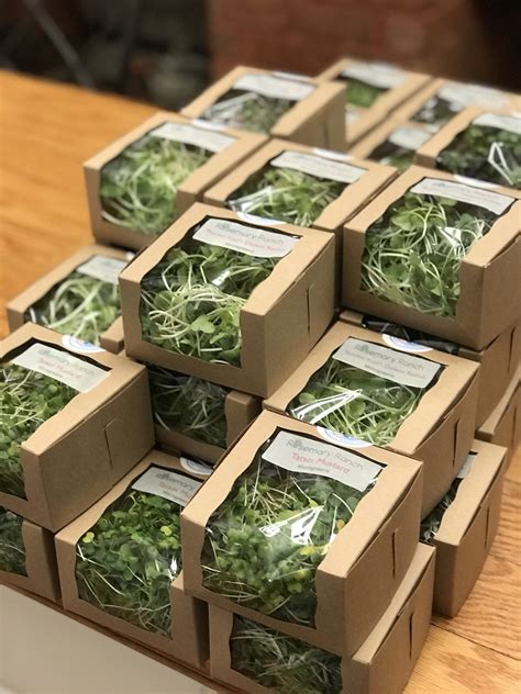 Rosemary Ranch On Twitter Vegetable Packaging Salad Packaging