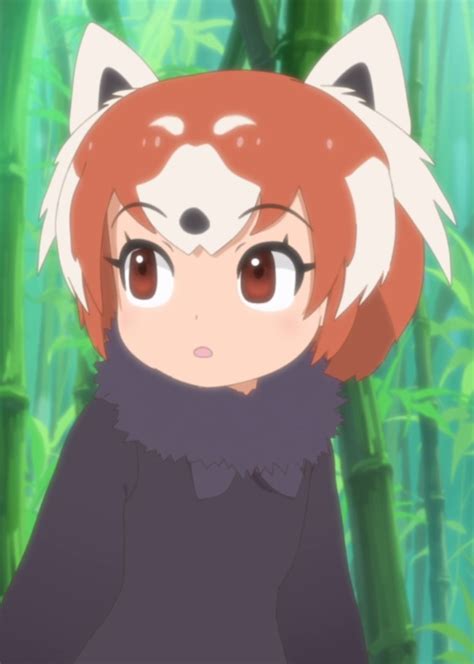 Red Pandaseason 2 Japari Library The Kemono Friends Wiki