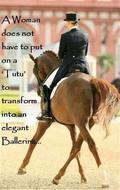 So True Dressage Horses Horse Quotes Equestrian Quotes