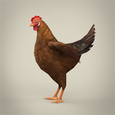Game Ready Realistic Hen By Gamingarts 3docean