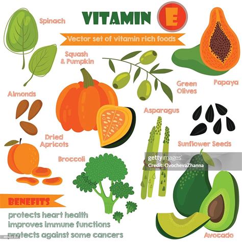 Vitamins And Minerals Foods Illustrator Set 13vector Set Of Vit High