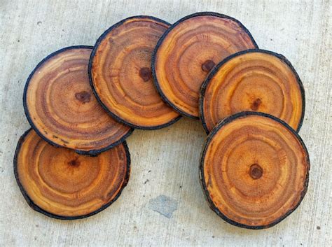 Hand Made Coasters Colorado Aspen Wood Coaster Set Of 6 By Bc Creative