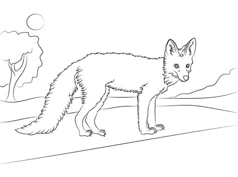 Free Printable Red Fox coloring page - Download, Print or Color Online