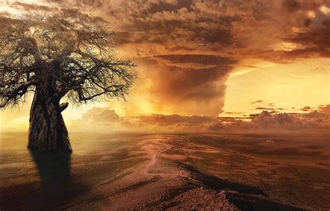 Free Images Fantasy Clouds Desert Landscape Baobab