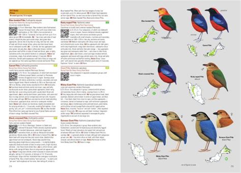 Birds Of Malaysia Covering Peninsular Malaysia Malaysian Borneo And