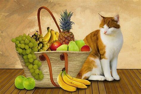 The short answer is yes. 11 Things You Should Know About Can Cats Eat Pineapple