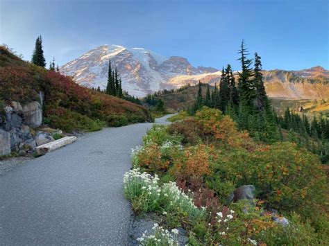 5 Epic Fall Hikes At Mount Rainier The National Parks Experience