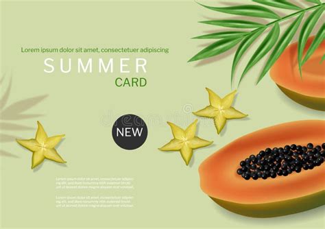 Papaya Summer Green Banner Vector Realistic Tropic Fruits Template