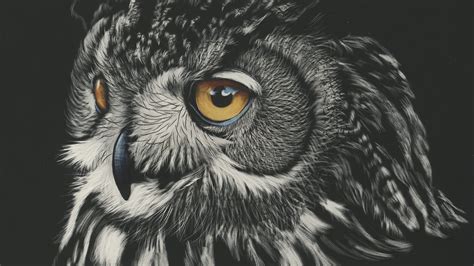 1920x1080 Owl Painting 4k Laptop Full Hd 1080p Hd 4k