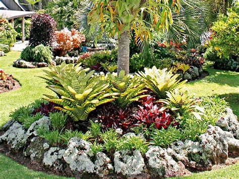 How To Plan A Tropical Garden Australian Handyman Magazine