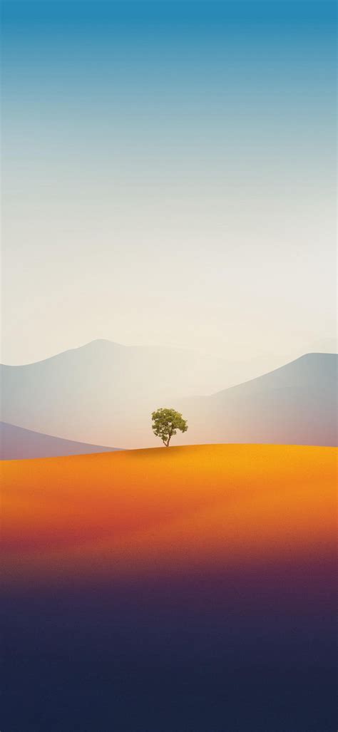 Lonely Tree Landscape Desert Wallpaper 1290x2796