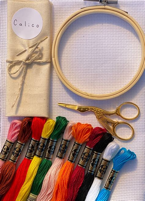 Beginner Embroidery Kit Up The Movie French Knot DIY Hand | Etsy