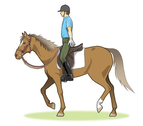 How To Improve Your Riding Skills The Trot Part 1｜minnano Jouba