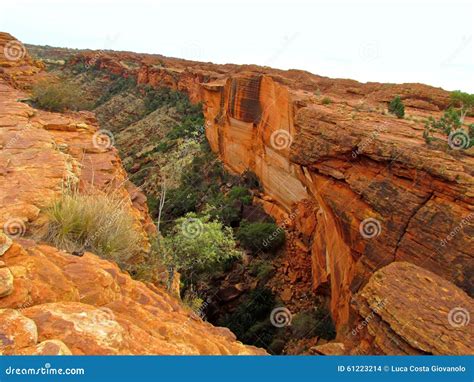 Australia Kings Canyon Outback Stock Photo Image Of Escarpment