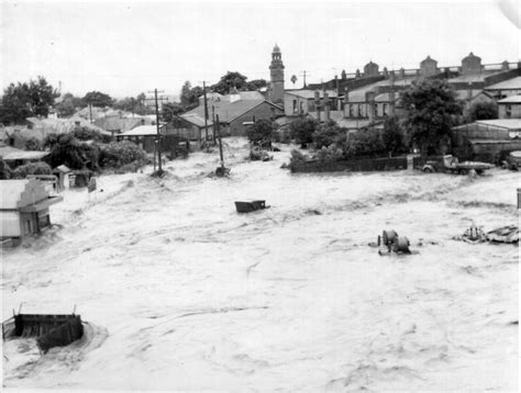 1955 Flood Maitland Nsw Australia Living Histories