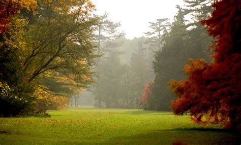 Top Autumn Gardens To Visit