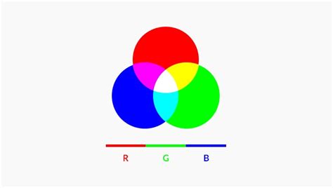 Color Models Explained Cmyk Rgb And Pantone Signazon