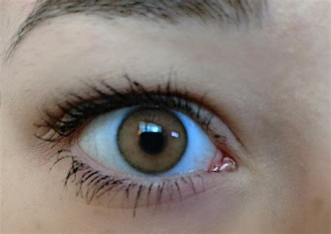 Amber eyes are stunning to look at. My crazy cool amber eyes : eyes