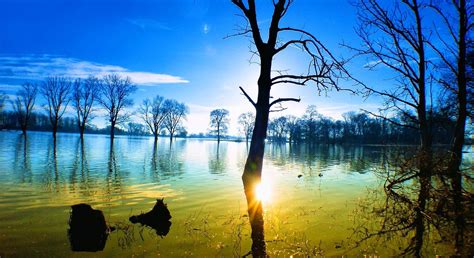 Nature Landscape Sunset Lake Reflection Trees Water Clouds Calm
