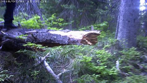 Twin Lakes Sasquatch Hunt Cascades Oregon Bigfoot Activity Youtube