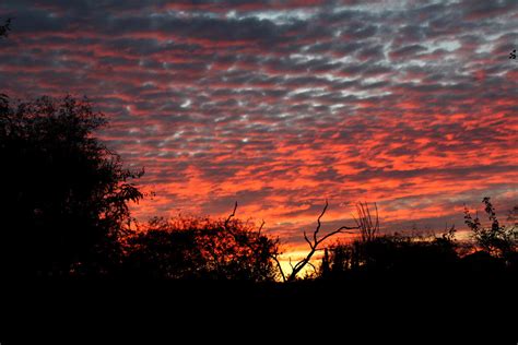 Sunset Alamos Sonora 3481pr Mreents Flickr
