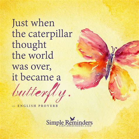 Become A Butterfly Just When The Caterpillar Thought The World Was Over
