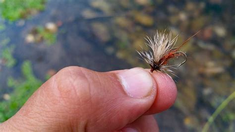 How To Make Your Own Killer Fly Hatch Magazine Fly Fishing Etc