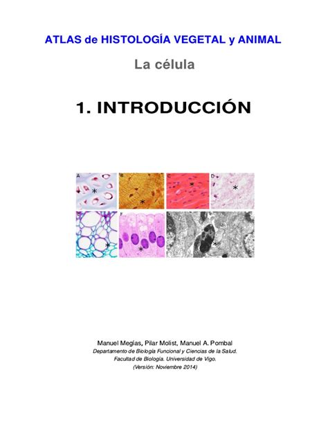 Atlas Celula 01 Introduccion Pdf Pdf Biología Celular Rna