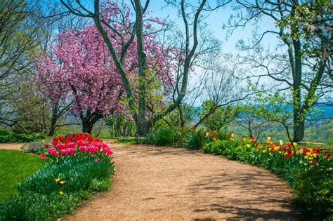 Colorful Garden Path Stock Image Image Of Nature Cherry 78297971