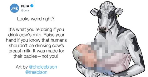 Peta Posted A Picture Of A Breastfeeding Cow And The Response Backfired