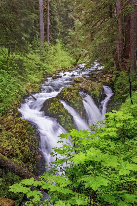 Sol Duc River And Falls Olympic National Park Washington State