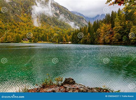 Amazing Clear Mountain Lake In Forest Among Fir Trees In Sunshine