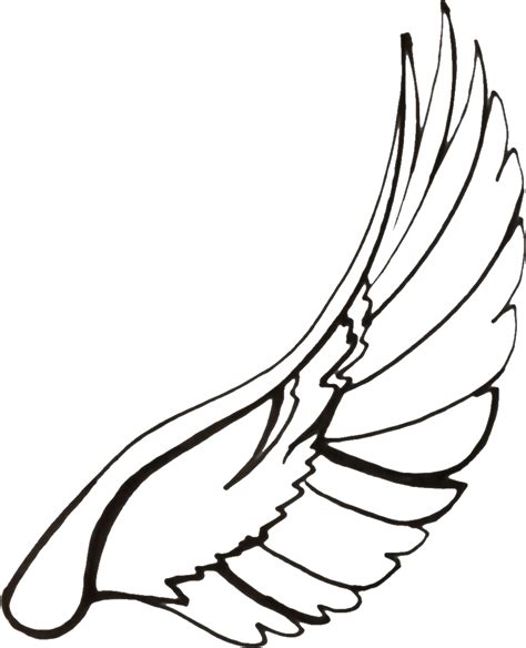 Vector Royalty Free Stock Drawn Dove Spread Drawing Dove Wings