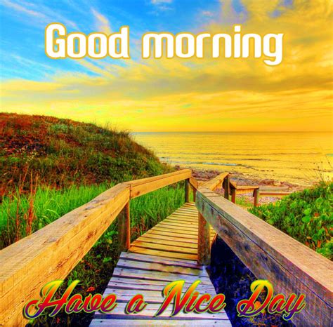 Beautiful Good Morning Scenery Images Photos Hd Download Good Morning