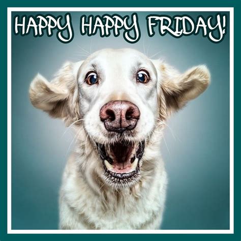Happy Friday Funny Dog Faces Funny Dogs Funny Animals Cute Animals
