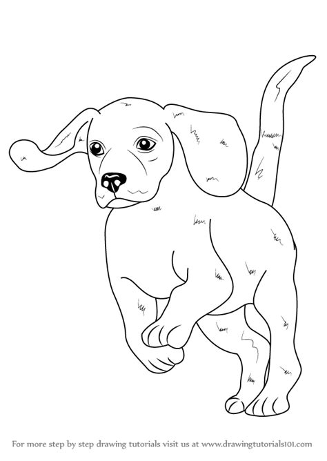 How To Draw A Beagle Farm Animals Step By Step