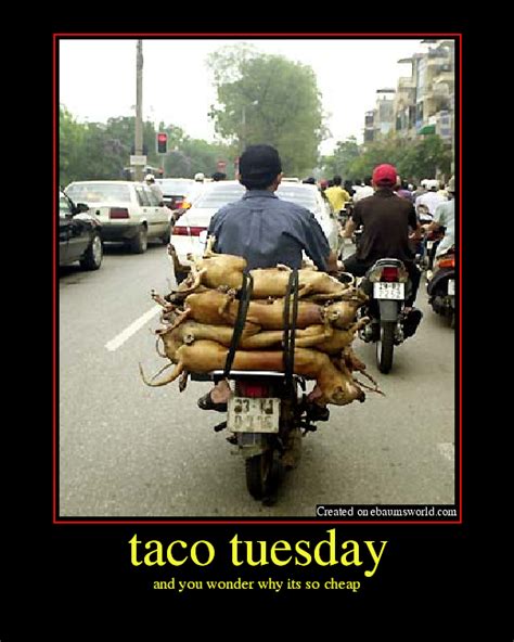 When you realize taco tuesday is becoming a problem. taco tuesday - Picture | eBaum's World