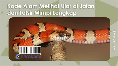 nomor togel ular