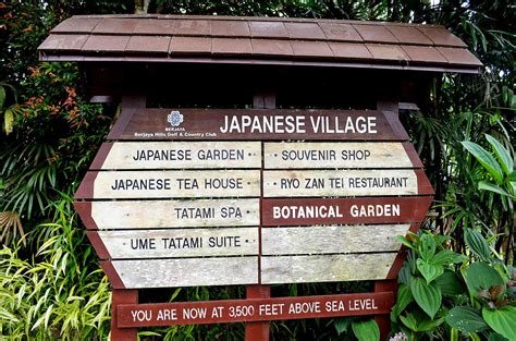 Imagine riding the marvelous breed of palomino horses to having a tea ceremony in the tranquil hills of the japanese gardens, to learning about a new flower in the botanical gardens. Trip to Bukit Tinggi Malaysia - Berjaya Hills: Japanese ...