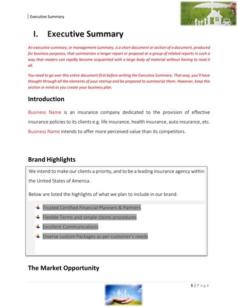Insurance Agency Business Plan Template Sample Pages Black Box