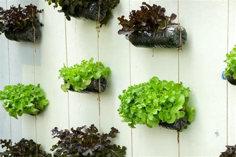 18 Smart Vertical Garden Ideas For Small Spaces Horticulture