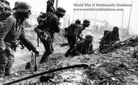 German Mortar Squad At Stalingrad The World War Ii Multimedia Database