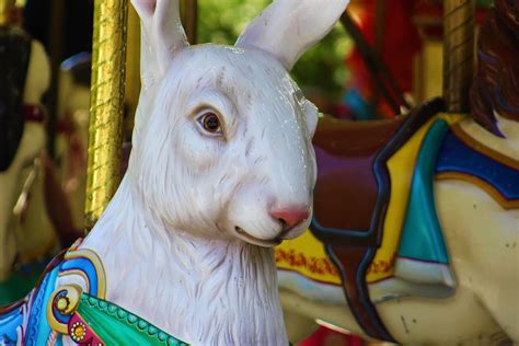 Carousel Rabbit Photograph By Lkb Art And Photography Pixels