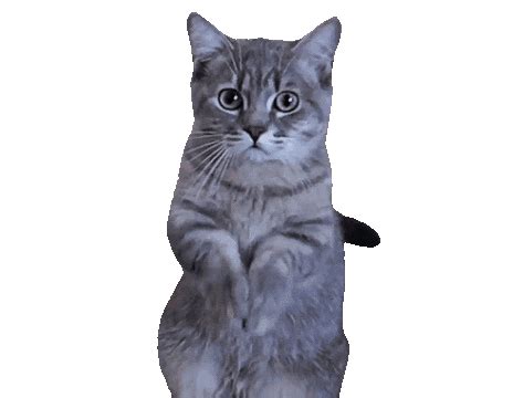 Check spelling or type a new query. Gesturing Excuse Me Sticker by Justin for iOS & Android ...