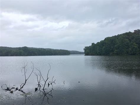 Ford Pinchot State Park Lewisberry 2019 All You Need To Know